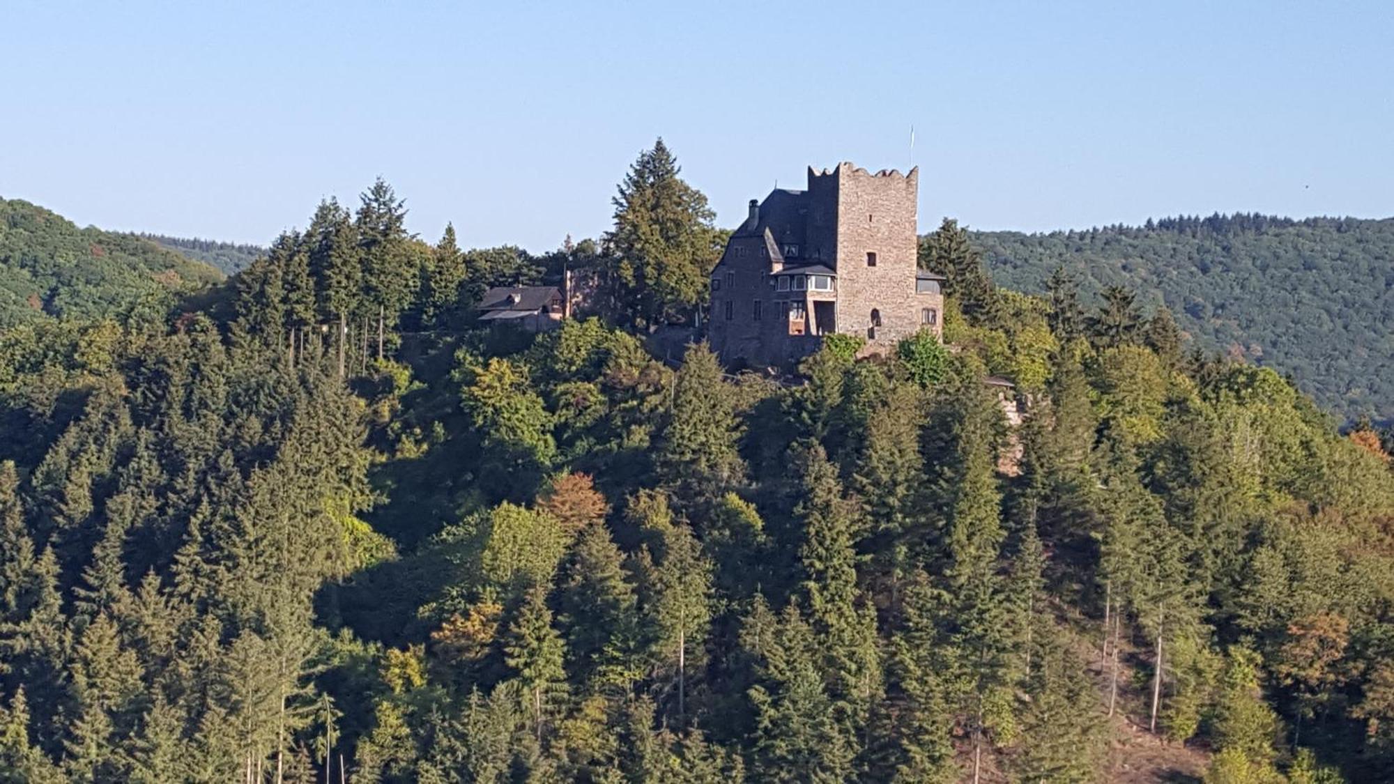 Ferienwohnung Sternenwald Alf Exterior foto