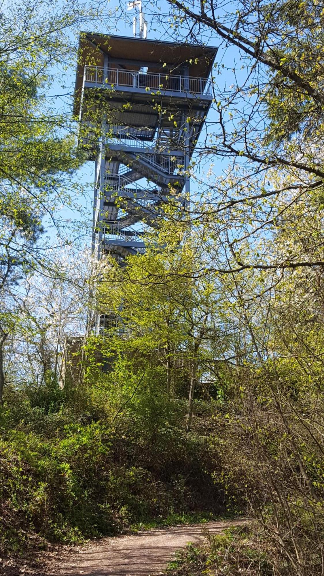 Ferienwohnung Sternenwald Alf Exterior foto